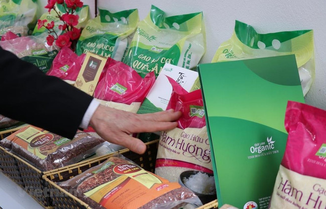 PYMES vietnamitas enfrentan problemas de flujo de caja ảnh 1