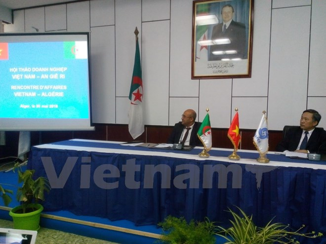 Efectúan foro empresarial Vietnam-Argelia ảnh 1 Efectúan foro empresarial Vietnam-Argelia ảnh 1