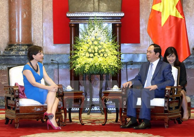 Presidente vietnamita se pronuncia por expandir cooperación con Italia ảnh 1 Presidente vietnamita se pronuncia por expandir cooperación con Italia ảnh 1