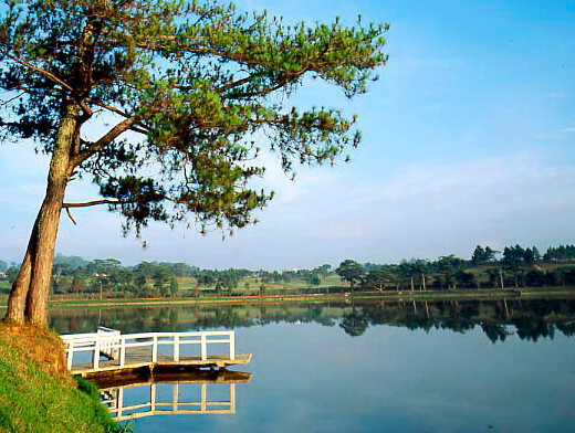 Da Lat será centro de turismo y agricultura de alto nivel ảnh 2 Da Lat será centro de turismo y agricultura de alto nivel ảnh 2