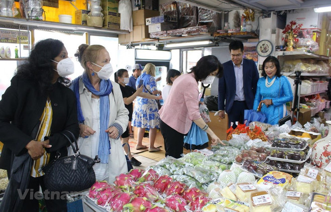 Cultura vietnamita impresiona al público checo ảnh 1 Cultura vietnamita impresiona al público checo ảnh 1