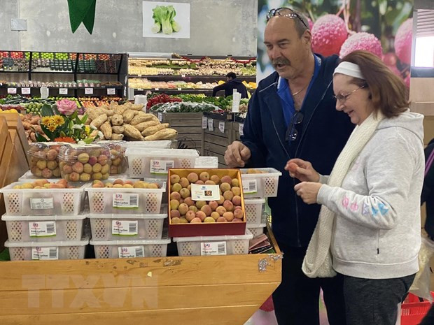 Lichi vietnamita llega a Bélgica ảnh 1 Lichi vietnamita llega a Bélgica ảnh 1