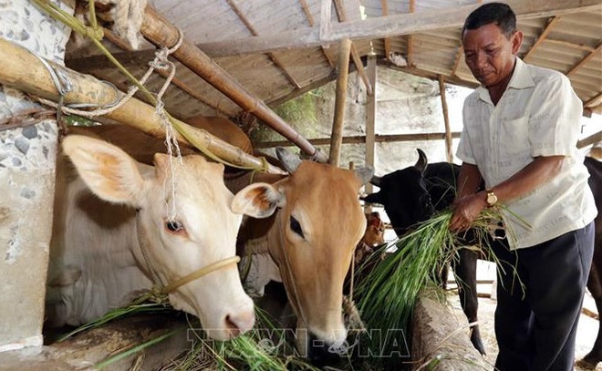 Vietnam avanza en reducción de la pobreza multidimensional ảnh 1