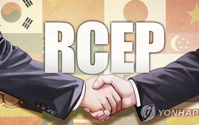 Inician en Bali reunión especial sobre posibilidad de firmar acuerdos de RCEP en 2020 ảnh 1