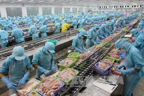 Vietnam invierte en el procesamiento de productos agrícolas ảnh 1