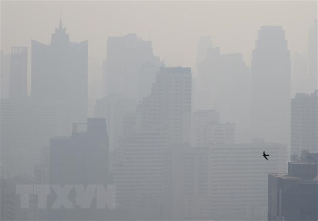 Instalará Tailandia purificadores de aire en techo de autobuses para combatir polución ảnh 1