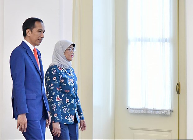 Impulsan Indonesia y Singapur cooperación multisectorial ảnh 1 Impulsan Indonesia y Singapur cooperación multisectorial ảnh 1