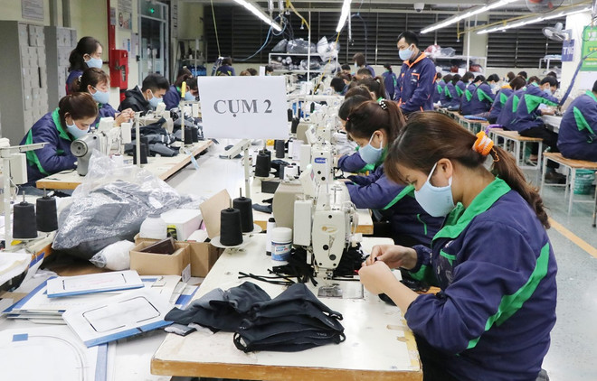 Vietnam proyecta crear 1,5 millones de empleos en 2020 ảnh 1