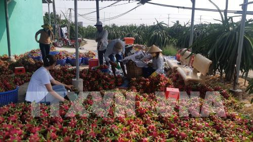 Adopta sector agrícola de Vietnam medidas preventivas ante expansión del nCoV ảnh 1 Adopta sector agrícola de Vietnam medidas preventivas ante expansión del nCoV ảnh 1