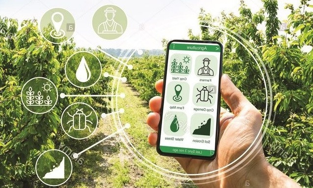 Vietnam fortalece la transformación digital en nuevas zonas rurales ảnh 1 Vietnam fortalece la transformación digital en nuevas zonas rurales ảnh 1