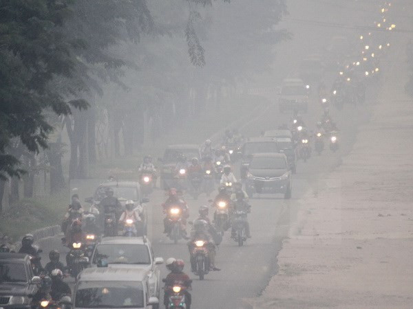 Unen manos contra contaminación de neblina en subregión de Mekong ảnh 1