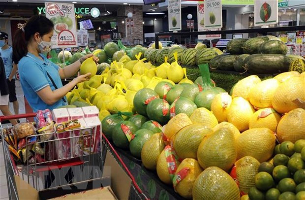 Inversores extranjeros confían en potencial económico de Vietnam, según Banco Mundial ảnh 2 Inversores extranjeros confían en potencial económico de Vietnam, según Banco Mundial ảnh 2