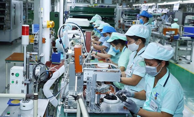 Jóvenes en extranjero: factor importante en proceso de innovación de Vietnam ảnh 1 Jóvenes en extranjero: factor importante en proceso de innovación de Vietnam ảnh 1