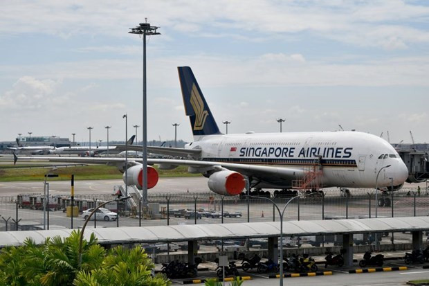 Camboya y Singapur buscan convivir gradualmente con el COVID-19 ảnh 1 Camboya y Singapur buscan convivir gradualmente con el COVID-19 ảnh 1