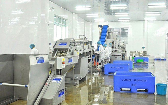 Exportaciones de mariscos de Vietnam a España mantienen un crecimiento constante ảnh 1 Exportaciones de mariscos de Vietnam a España mantienen un crecimiento constante ảnh 1