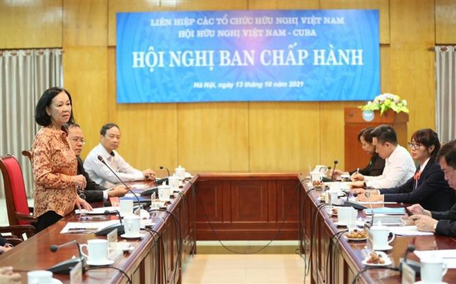 Eligen nuevo presidente de Asociación de Amistad Vietnam-Cuba ảnh 2 Eligen nuevo presidente de Asociación de Amistad Vietnam-Cuba ảnh 2