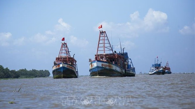 Vietnam determina a rectificar la pesca ilegal en aguas extranjeras ảnh 1