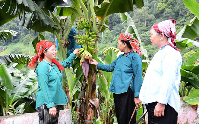 Promueven en Vietnam implementación de políticas de reducción sostenible de la pobreza ảnh 1 Promueven en Vietnam implementación de políticas de reducción sostenible de la pobreza ảnh 1