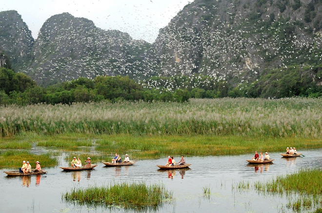 Desarrolla provincia de Ninh Binh turismo con preservación de ecosistema ảnh 1 Desarrolla provincia de Ninh Binh turismo con preservación de ecosistema ảnh 1