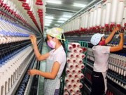 Sector textil de ASEAN busca fortalecer cadena de suministro ảnh 1 Sector textil de ASEAN busca fortalecer cadena de suministro ảnh 1