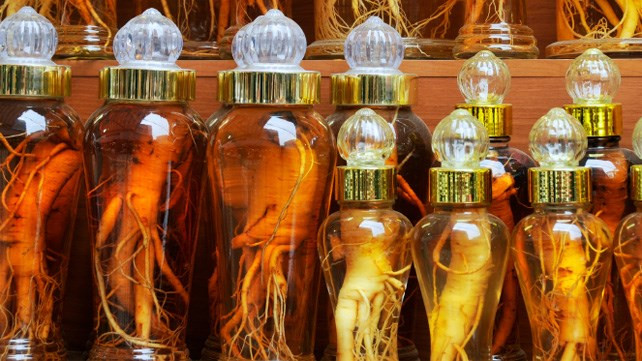 Vietnam, mayor mercado importador de ginseng sudcoreano en ASEAN ảnh 1 Vietnam, mayor mercado importador de ginseng sudcoreano en ASEAN ảnh 1