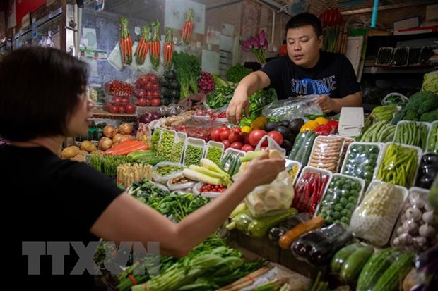 Exportadores vietnamitas de verduras y frutas por ampliar cuota en Tailandia ảnh 1 Exportadores vietnamitas de verduras y frutas por ampliar cuota en Tailandia ảnh 1