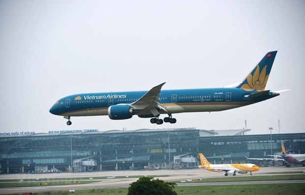 Abrirá Vietnam Airlines más rutas nacionales ảnh 1 Abrirá Vietnam Airlines más rutas nacionales ảnh 1