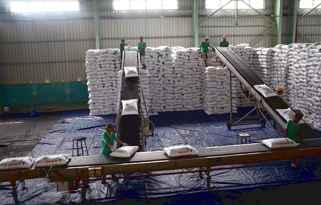 Premier vietnamita insta a aumentar el apoyo a las empresas en medio de pandemia ảnh 1 Premier vietnamita insta a aumentar el apoyo a las empresas en medio de pandemia ảnh 1