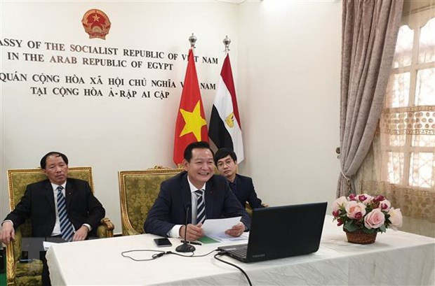 Realizan en Egipto seminario en línea sobre el Presidente Ho Chi Minh ảnh 1 Realizan en Egipto seminario en línea sobre el Presidente Ho Chi Minh ảnh 1