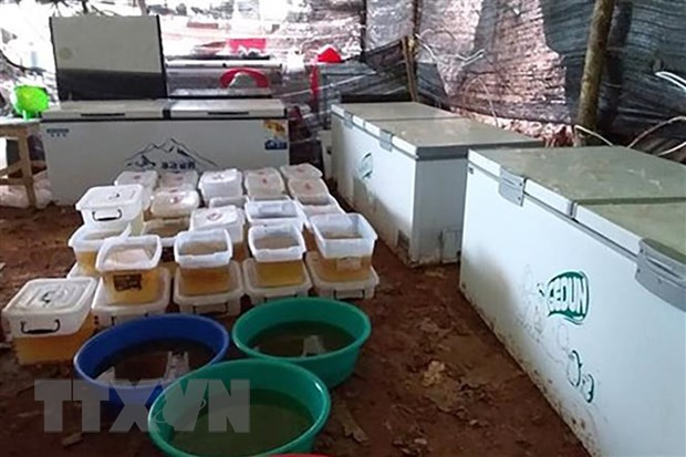 Myanmar incauta mayor cantidad de drogas en la historia del Sudeste Asiático ảnh 1