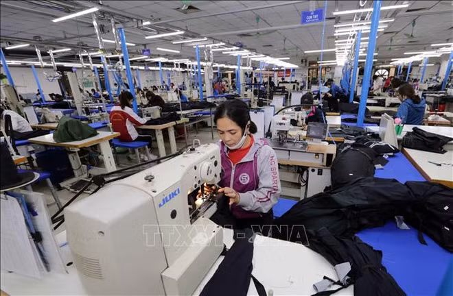 “Regla de origen” de EVFTA, desafío para el sector de confecciones y textiles vietnamita ảnh 1