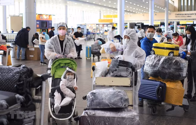 Repatrían a ciudadanos vietnamitas en Rusia ảnh 1