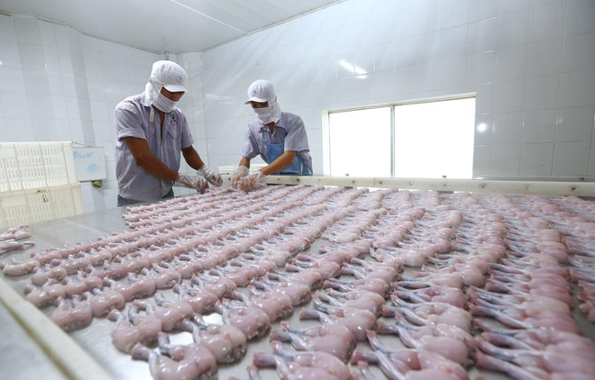 Acuerdo comercial con la UE aumentará PIB de Vietnam, según Banco Mundial ảnh 1