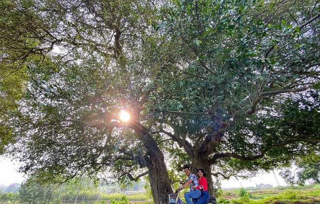 Estimulan el turismo en Xu Doai, nueva cara en país de las nubes blancas ảnh 1 Estimulan el turismo en Xu Doai, nueva cara en país de las nubes blancas ảnh 1