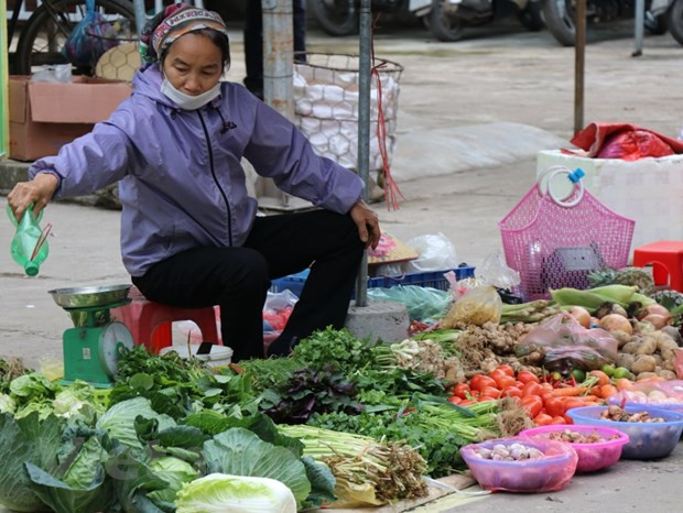 IPC de Vietnam aumenta 2,44 por ciento de enero a junio ảnh 1 IPC de Vietnam aumenta 2,44 por ciento de enero a junio ảnh 1