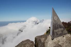 Budistas de Vietnam rezan por paz y felicidad ảnh 1