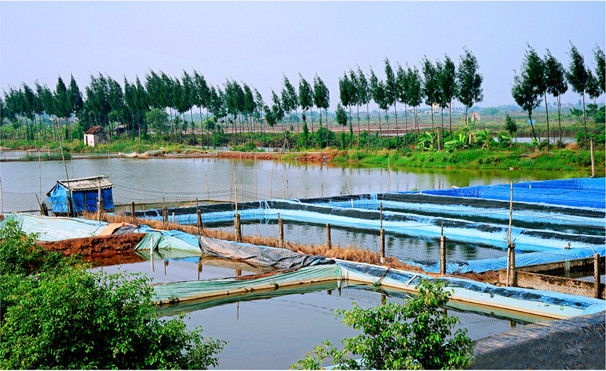 Provincia de Ninh Binh promueve potenciales de economía marítima ảnh 2 Provincia de Ninh Binh promueve potenciales de economía marítima ảnh 2