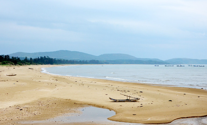 Provincia de Ninh Binh promueve potenciales de economía marítima ảnh 1 Provincia de Ninh Binh promueve potenciales de economía marítima ảnh 1