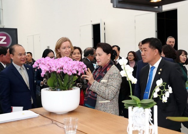 Presidenta parlamentaria de Vietnam indaga agricultura de alta tecnología en Países Bajos ảnh 1 Presidenta parlamentaria de Vietnam indaga agricultura de alta tecnología en Países Bajos ảnh 1