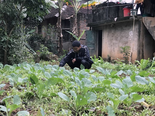 Proyecto japonés ayuda a mejorar ingresos de agricultores de Son La ảnh 1 Proyecto japonés ayuda a mejorar ingresos de agricultores de Son La ảnh 1