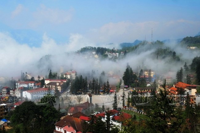 Entrará en funcionamiento primera ruta ferroviaria de escalada montañosa en Vietnam ảnh 1