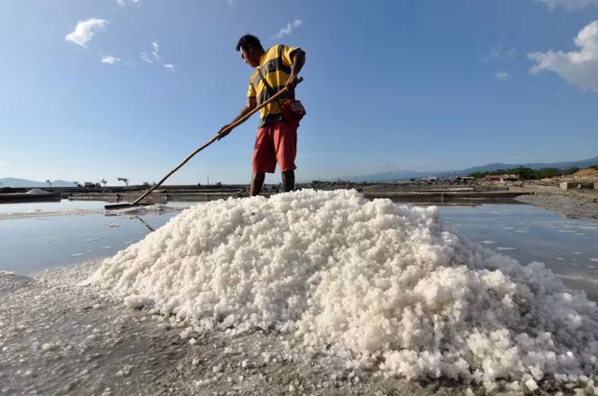 Indonesia importará 3,7 millones de toneladas de sal industrial este año ảnh 1