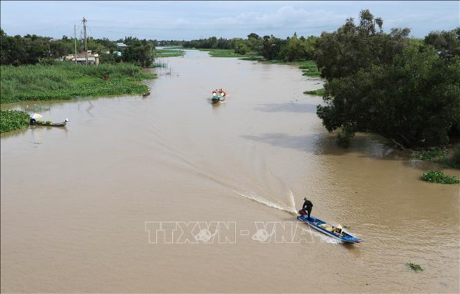 Delta del Mekong de Vietnam enfrenta intrusión salina ảnh 1 Delta del Mekong de Vietnam enfrenta intrusión salina ảnh 1