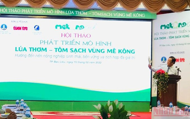 Desarrollan modelo "arroz fragante-camarón limpio" en la región del Mekong ảnh 1 Desarrollan modelo "arroz fragante-camarón limpio" en la región del Mekong ảnh 1