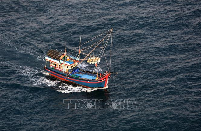Equipan a barcos pesqueros en provincia vietnamita de Kien Giang con dispositivos de monitoreo ảnh 1 Equipan a barcos pesqueros en provincia vietnamita de Kien Giang con dispositivos de monitoreo ảnh 1