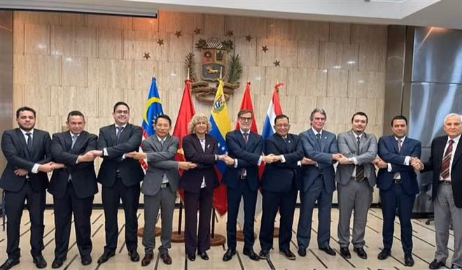 Venezuela promueve lazos de cooperación con ASEAN ảnh 1