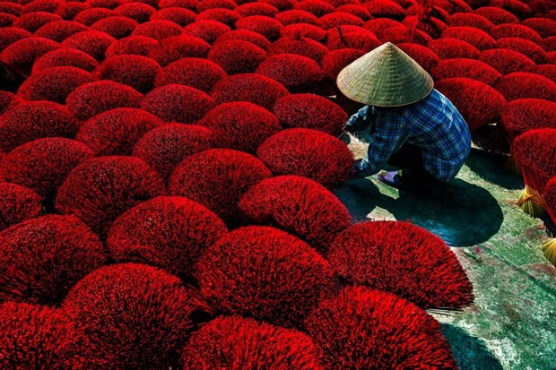 Imagen sobre Vietnam gana premio en Concurso Internacional de Fotografía Ambiental CEFF ảnh 1 Imagen sobre Vietnam gana premio en Concurso Internacional de Fotografía Ambiental CEFF ảnh 1