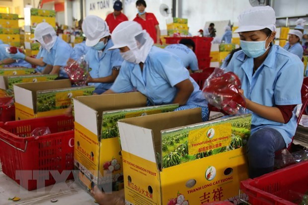 Promueven exportación de mercancías vietnamitas a Europa del Norte ảnh 1 Promueven exportación de mercancías vietnamitas a Europa del Norte ảnh 1