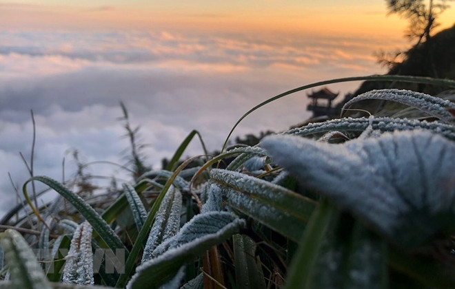 Escarcha adorna nuevamente cima del monte Fansipan en Vietnam ảnh 3 Escarcha adorna nuevamente cima del monte Fansipan en Vietnam ảnh 3