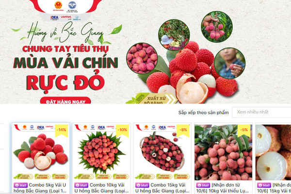 Provincia vietnamita de Bac Giang promueve consumo de productos agrícolas en plataformas electrónicos ảnh 1 Provincia vietnamita de Bac Giang promueve consumo de productos agrícolas en plataformas electrónicos ảnh 1